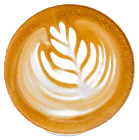 Café de especialidad